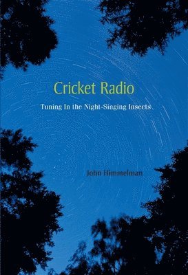 bokomslag Cricket Radio