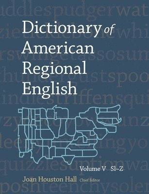 bokomslag Dictionary of American Regional English