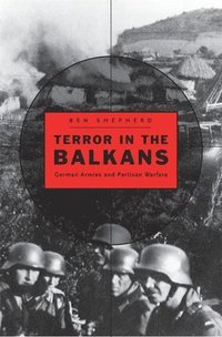 bokomslag Terror in the Balkans