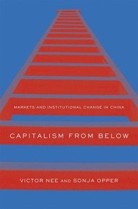 bokomslag Capitalism from Below