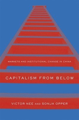 bokomslag Capitalism from Below