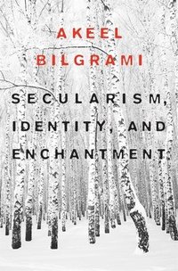 bokomslag Secularism, Identity, and Enchantment
