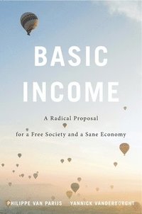 bokomslag Basic Income