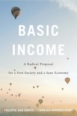 bokomslag Basic Income