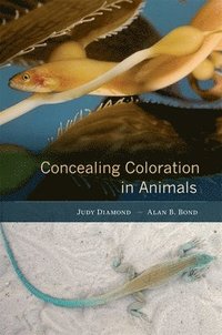 bokomslag Concealing Coloration in Animals