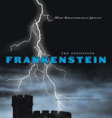bokomslag Annotated Frankenstein