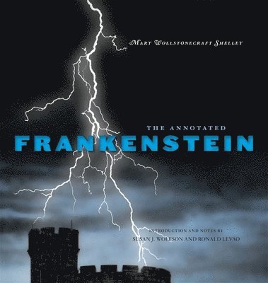 bokomslag The Annotated Frankenstein
