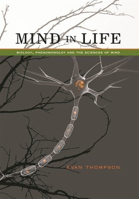 Evan Thompson - Mind in Life, Häftad