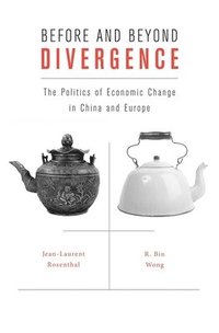 bokomslag Before and Beyond Divergence