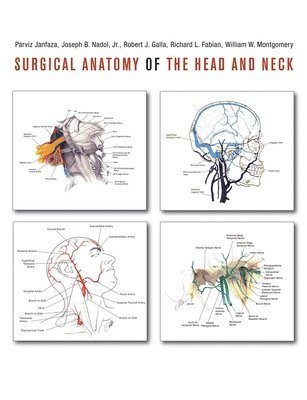 bokomslag Surgical Anatomy of the Head and Neck