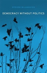 bokomslag Democracy without Politics