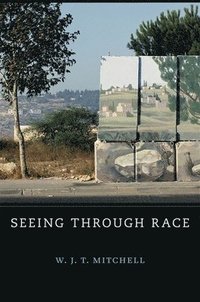 bokomslag Seeing Through Race