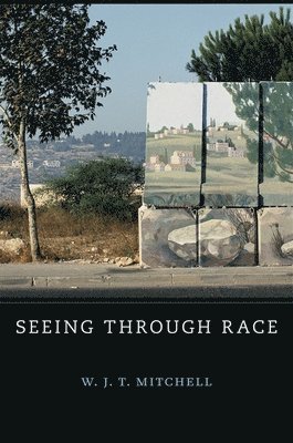 W. J. T. Mitchell - Seeing Through Race, Inbunden