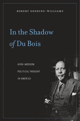 Robert Gooding-Williams - In the Shadow of Du Bois, Häftad