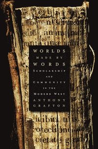 bokomslag Worlds Made by Words
