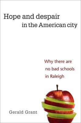 bokomslag Hope and Despair in the American City