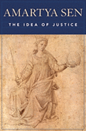 bokomslag The Idea of Justice