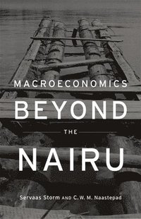 bokomslag Macroeconomics Beyond the NAIRU