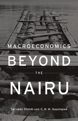 Macroeconomics Beyond the NAIRU 1