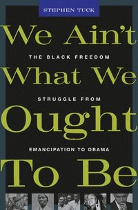 bokomslag We Ain't What We Ought To Be