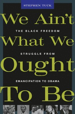 bokomslag We Ain't What We Ought To Be