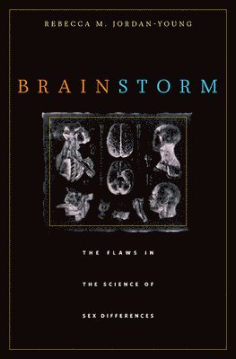 Brain Storm 1