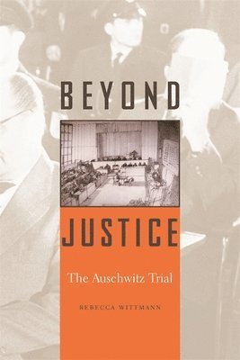 bokomslag Beyond Justice