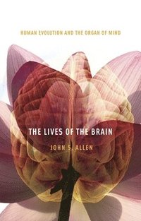 bokomslag The Lives of the Brain