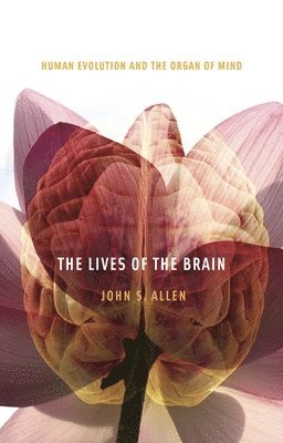 John S. Allen - Lives of the Brain, Häftad