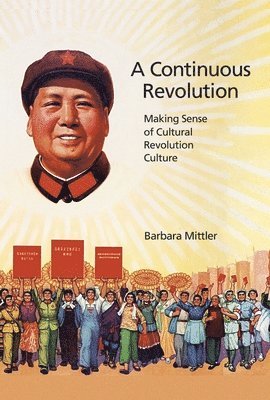 bokomslag Continuous Revolution