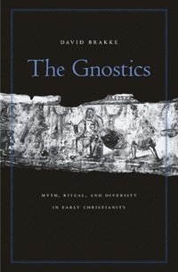 bokomslag The Gnostics: Myth, Ritual, and Diversity in Early Christianity