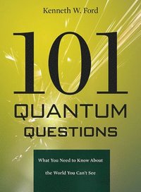 bokomslag 101 Quantum Questions