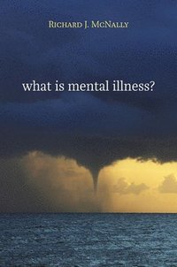 bokomslag What Is Mental Illness?
