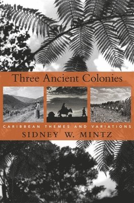 Sidney W. Mintz - Three Ancient Colonies, Häftad