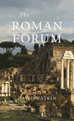 Roman Forum 1