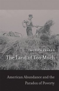 bokomslag The Land of Too Much: American Abundance and the Paradox of Poverty