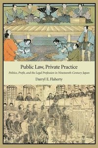bokomslag Public Law, Private Practice