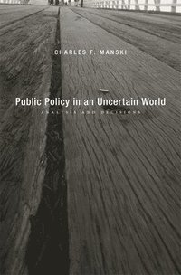 bokomslag Public Policy in an Uncertain World