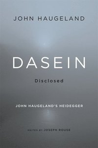 bokomslag Dasein Disclosed