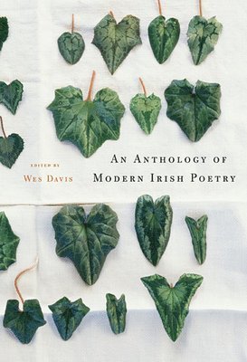 An Anthology of Modern Irish Poetry 1