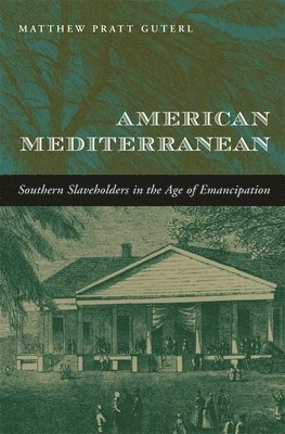 American Mediterranean 1