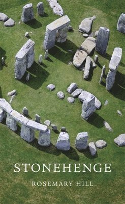 bokomslag Stonehenge