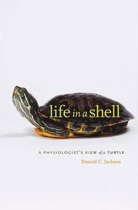 bokomslag Life in a Shell