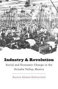 bokomslag Industry and Revolution