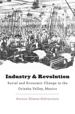 bokomslag Industry and Revolution