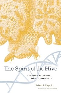 bokomslag The Spirit of the Hive