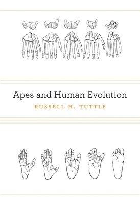 Russell H. Tuttle - Apes and Human Evolution, Inbunden