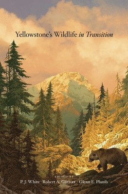 bokomslag Yellowstone's Wildlife in Transition