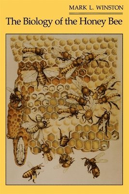 Mark L. Winston, Mark L Winston - Biology of the Honey Bee, Häftad