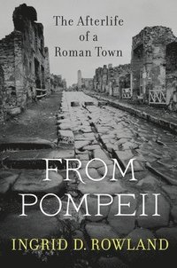 bokomslag From Pompeii